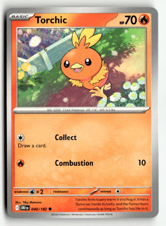 Torchic