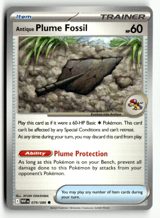 Antique Plume Fossil