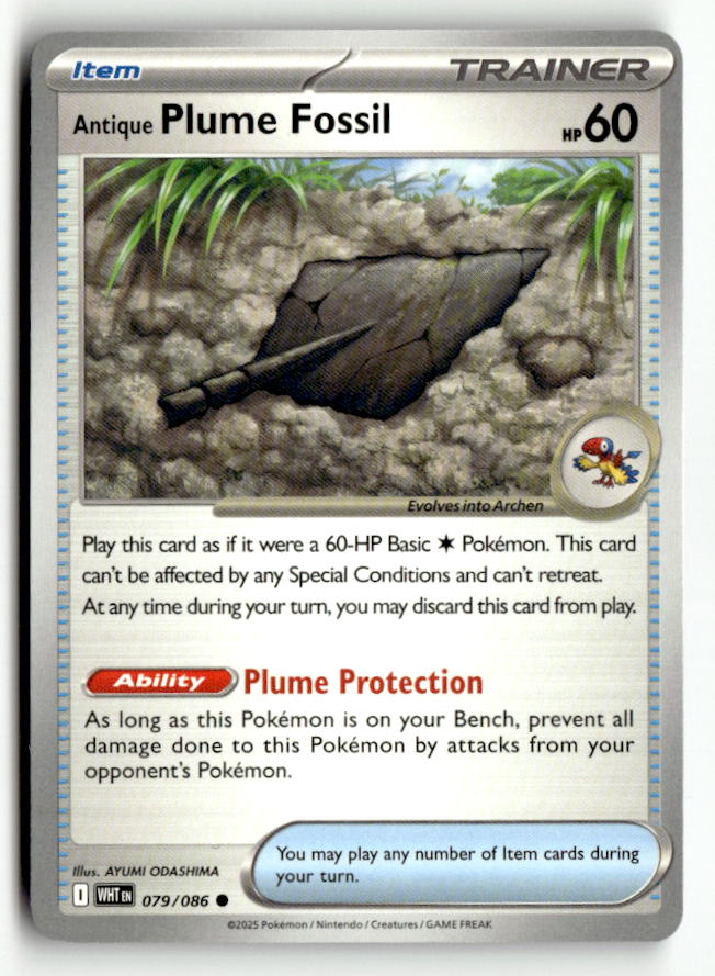 Antique Plume Fossil