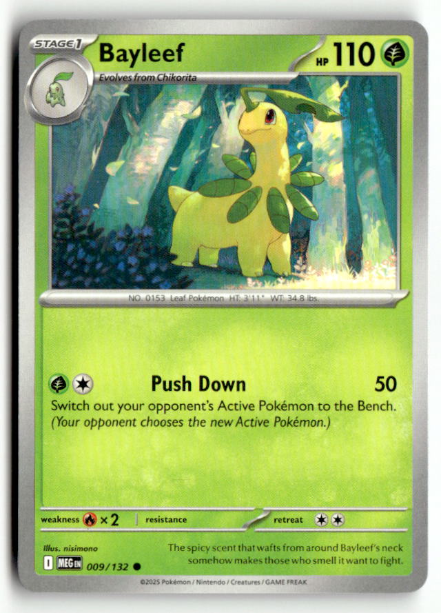 Bayleef | Near Mint / English / Normal
