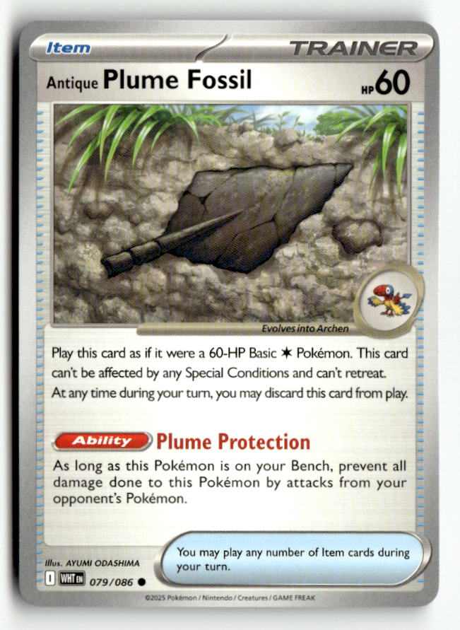 Antique Plume Fossil