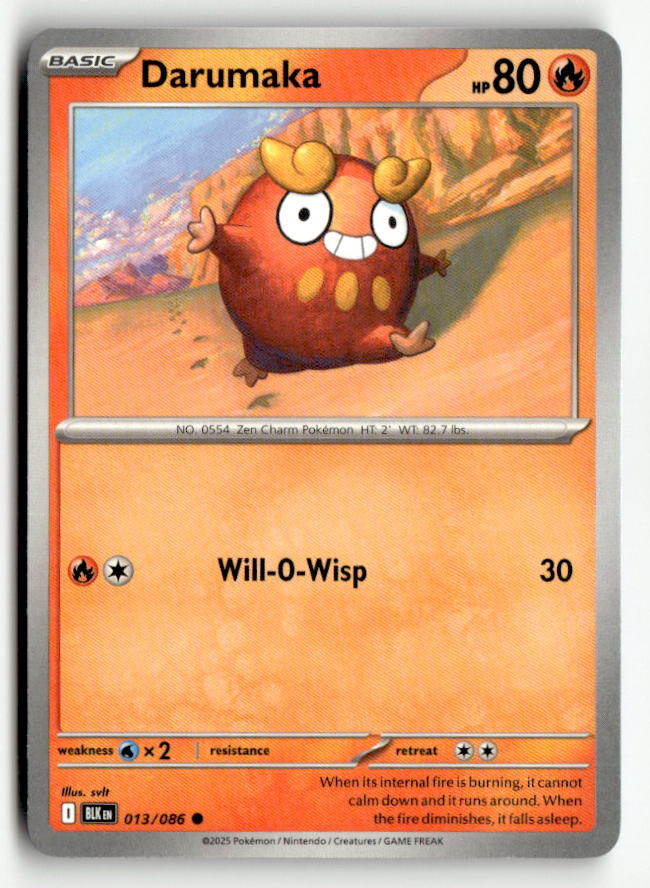 Darumaka