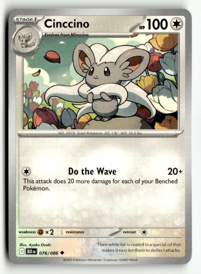 Cinccino