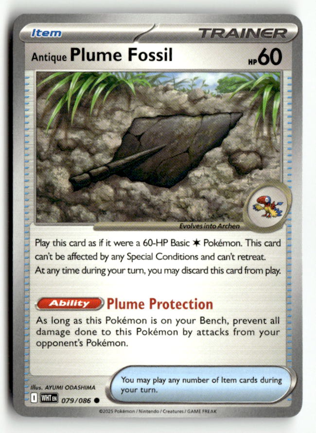 Antique Plume Fossil