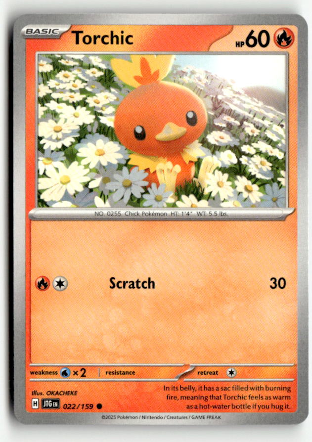 Torchic