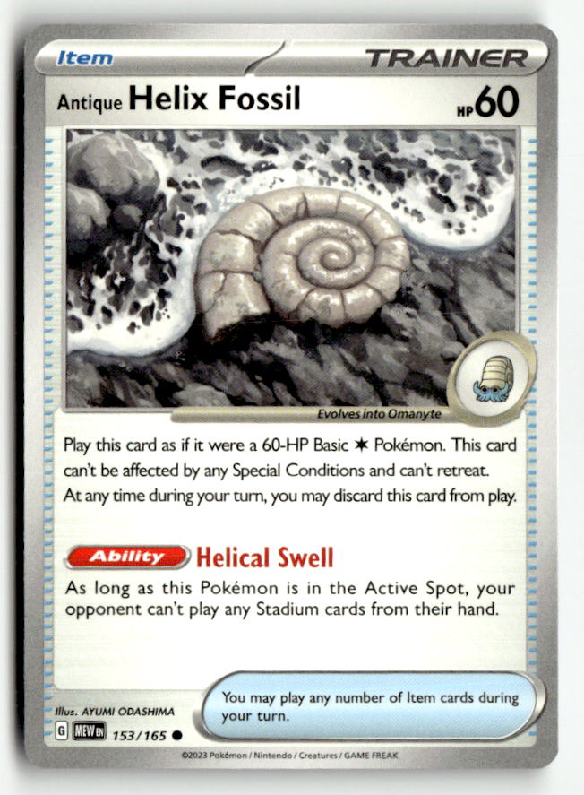 Antique Helix Fossil