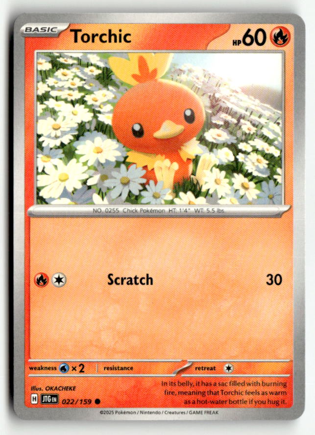 Torchic