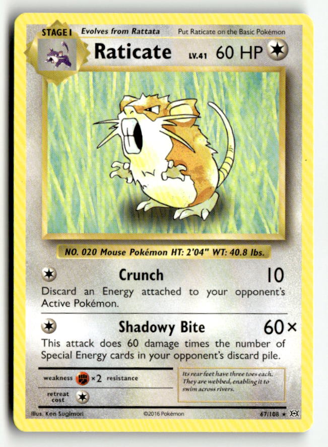 Raticate