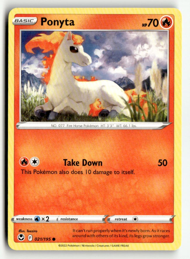 Ponyta