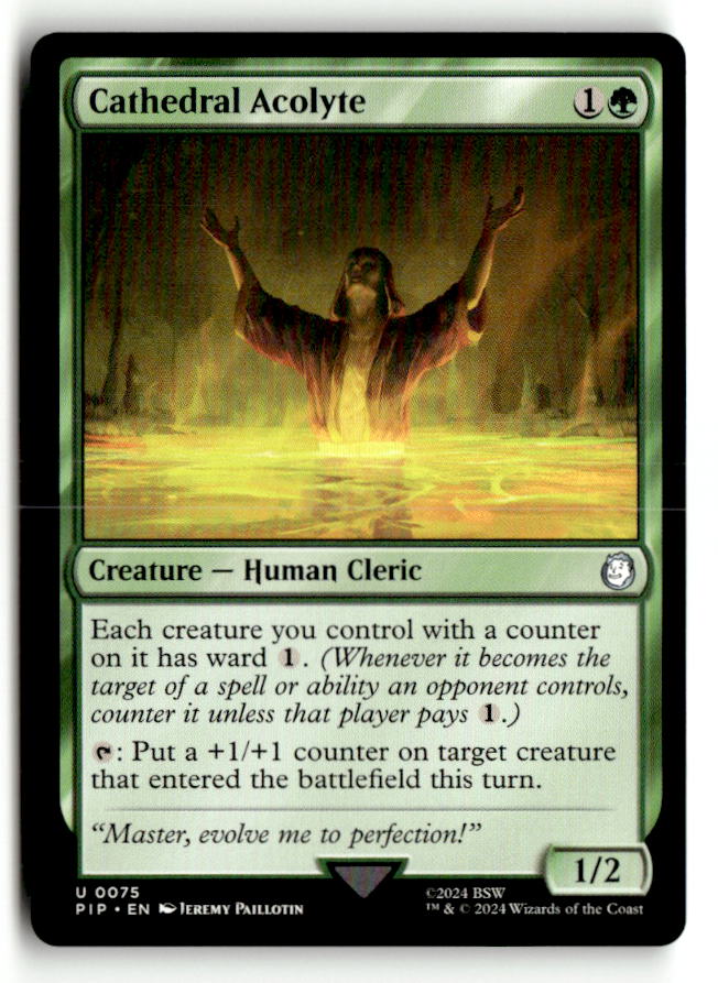 Cathedral Acolyte