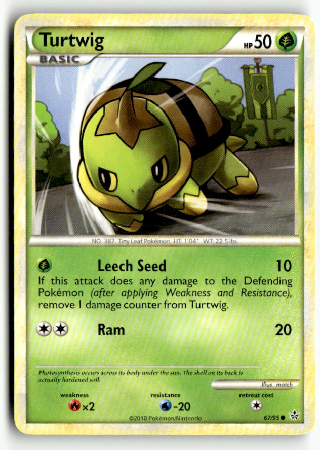 Turtwig