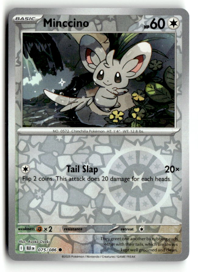 Minccino